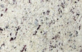 White Dallas Granite 0