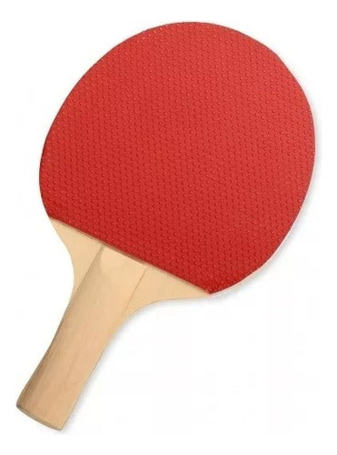 Ping Pong 2 Paletas Y 3 Pelotas Tenis De Mesa Juego Set 1