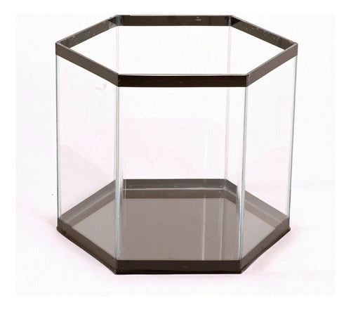 AQUABREED Hexagonal Bettera Terrarium Aquarium 11x21x21 1