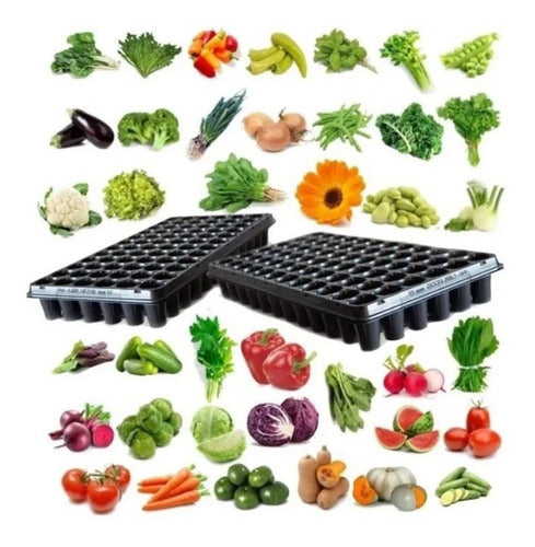 Year-Round Vegetable Garden Seeds Kit + Herbs + Flowers + Exotic Plants + Trays 1