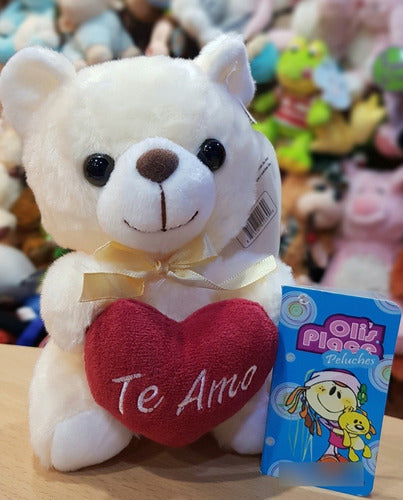 Teddy Bear with Heart + Gift Box - Valentine's Day Souvenir 4