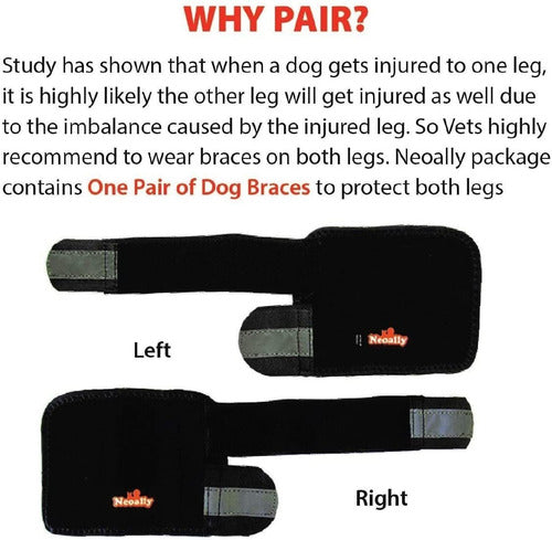 Abrazadera Patas Delantera Estabiliza Apoyo Artritis Median 1