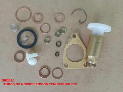 Reparo Bomba Manual Alimentadora  Scania (boch Mecanica) 6