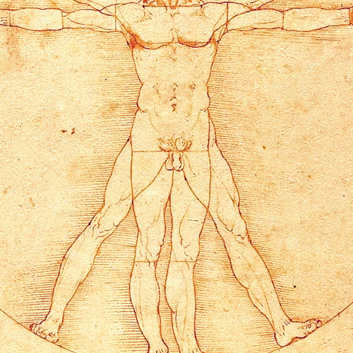Beautiful Vitruvian Man Poster - Da Vinci - 120x85 New 5