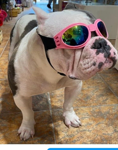 Lentes Para Perros, Anteojos De Sol, Gafas, Sunglases 4