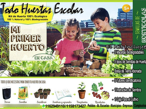 Genérica Kit De Huerta P/niños 5 Macetas Biodegradables!!!completa! 0