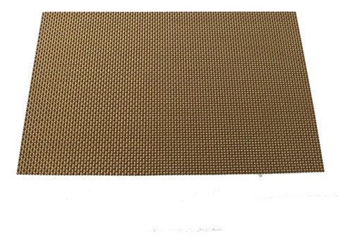 Black Deco Set of 4 Golden Raffia Placemats 0