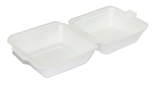 Set of 10 Expanded Polystyrene Insulated Burger Cases with Hinged Lid 0