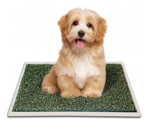 Pañopet Large Sanitary Grass Tray for Dogs 0