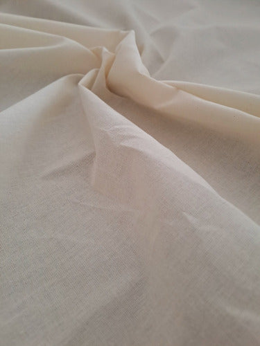 Natural Canvas Fabric 100% Cotton 20/20 1.60 x 1 Meters 2