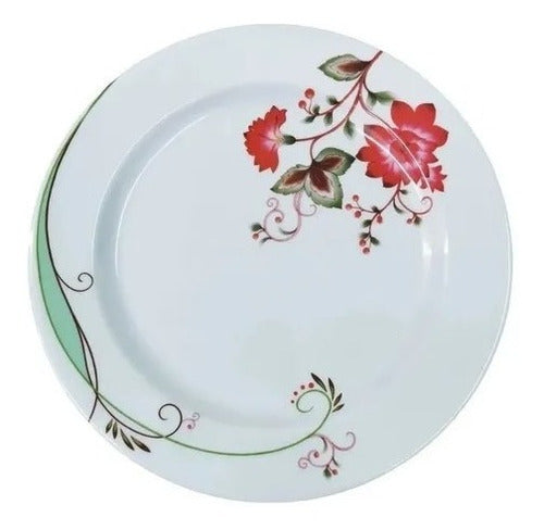 CLUB IMPORT Melamine Deep Plate Set of 12 Various Designs 25 cm 4