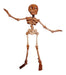 Articulated 3D Skeleton Toy - Choose Your Desired Color 24