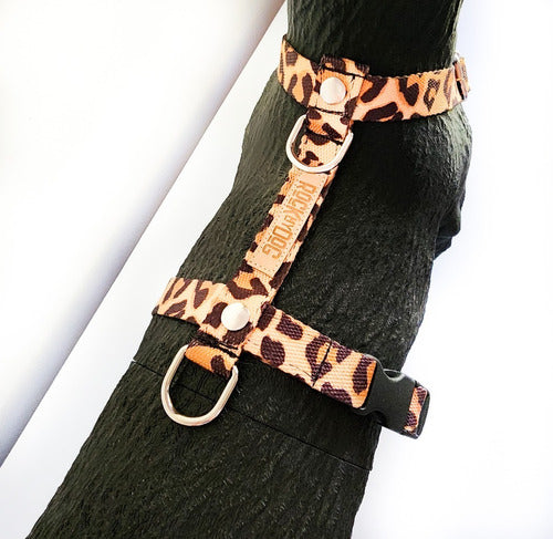 Adjustable Small Size Harness for Small Breeds - Mini Poodles, Dachshunds 16