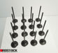 Set of 16 Intake and Exhaust Valves for DV6 1.6 HDI Engine 4