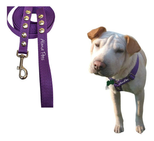 Alma Pets Adjustable H Harness for Dogs with Double Attachment T2 / S+ 2M Leash 0