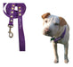 Alma Pets Adjustable H Harness for Dogs with Double Attachment T2 / S+ 2M Leash 0