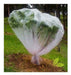 Frost Protection Mesh Fabric Thermal Blanket for Crops 2.4 m x 5 m 3