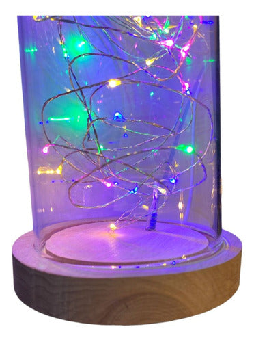 SWC Importados Multicolor LED Decorative Lamp 2