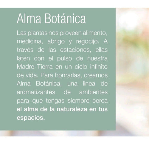 Aromatizante Biogreen Jazmín Del Cabo + Gatillo 2