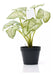 Range Planta Artificial Interior Decoracion 50 Cm Potus En Maceta 1