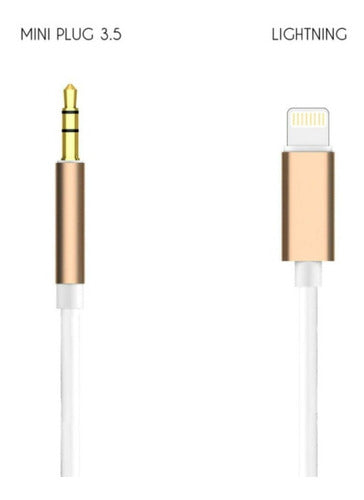 DBSTORE Audio Miniplug Male Aux 3.5mm Cable Compatible with iPhone 1