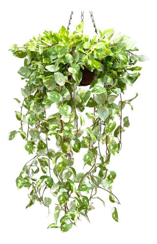 Only Woman Planta Colgante Jardin Vertical Artificial Potus Pothos 78cm 0