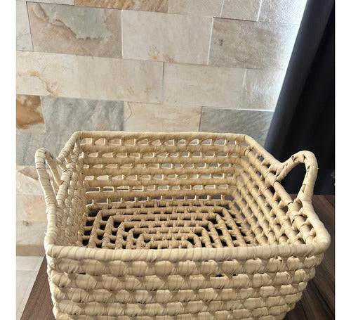 Rectangular Fruit Basket 100% Palm Container 2