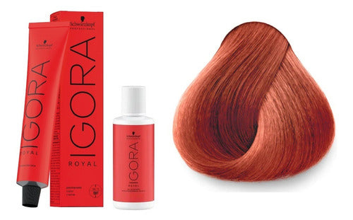 Schwarzkopf Professional Tintura Igora Royal 8.77 + Oxidante De 60ml 0