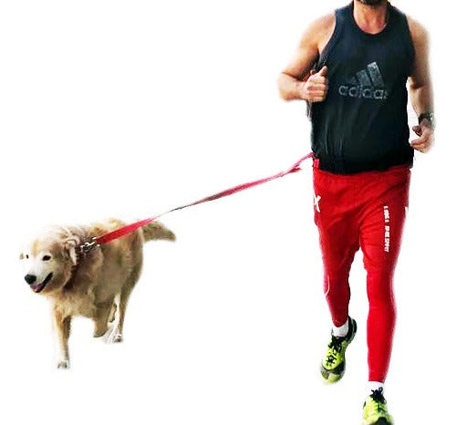 Cinturon Para Pasear Y Correr Con El Perro 0