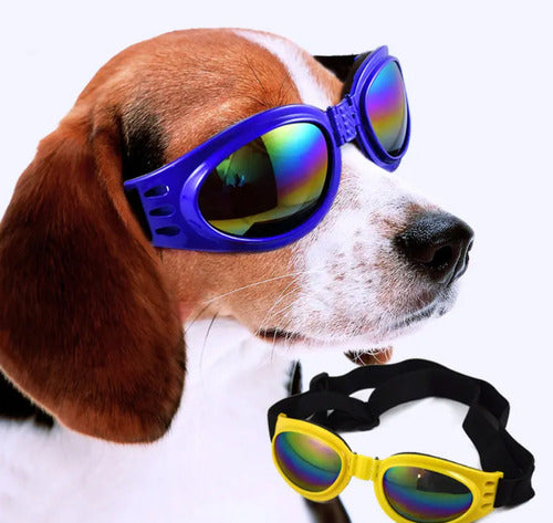 PETWW Large Dog Sunglasses Various Colors UV Protection 1