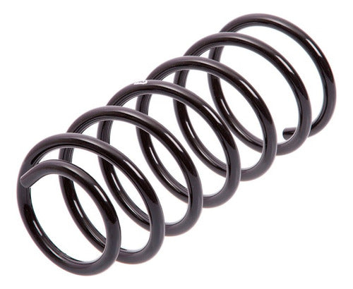 AG 2 Front Springs for Chevrolet Corsa 1