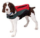 Life Jacket for Dogs - Various Sizes - American Neoprene 0