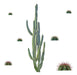 RoomMates Decor Wall Vinyl Cactus 2