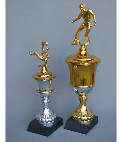 Grabadoscarbo Trophy, Multidisciplinary Cup 44cm, Golden, Silver or Mix 4