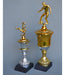 Grabadoscarbo Trophy, Multidisciplinary Cup 44cm, Golden, Silver or Mix 4