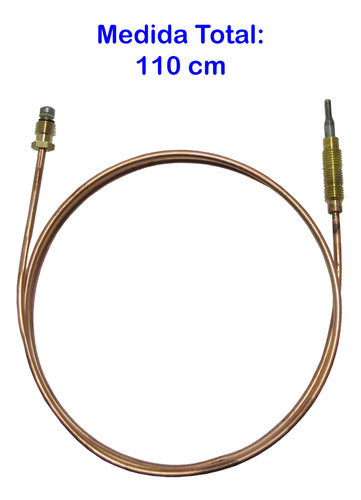 Thermocouple Kitchen Florencia for Arthur Martin Aurora B 3