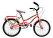 BrandName Bicycle R14 with Basket and Luggage Rack for Girls 7