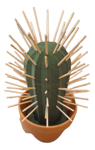 Cactus Toothpick Dispenser Fusion3dmza 5