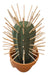 Cactus Toothpick Dispenser Fusion3dmza 5