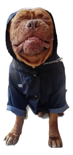 Rafa Style Dog Wear Piloto Impermeable Dogo De Burdeos Hecho A Medida 0