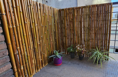 Macetas Argentinas Cerco De Cañas Bambu Pergola Tacuara 100x180 Cm Deco 2