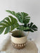 Planta Artificial Costilla De Adam 45 Cms Con Maceta Deco 7