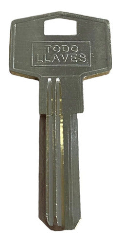 Currao Pack of 10 Computadized Keys for Replication 2