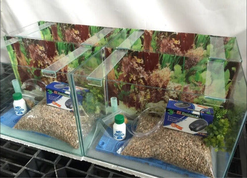 Complete Fish Tank Kit 80x35x20 with 1 Free Fish 4