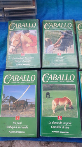 Cintas Vhs El Caballo Cuidados Del Caballo Y Equitación 2