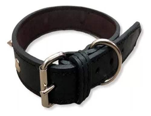 Leather Mastiff Collar with Spikes No. 2 3