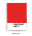 Maguncia Cuaderno A5, Pantone 1