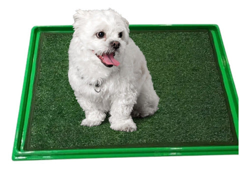 Pañopet Plastic Dog Sanitary Tray Hygiene Pad Pet S 0