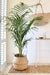 Large Natural Seagrass Basket Pot Seagrass Natural Large Deconamor Reg 2