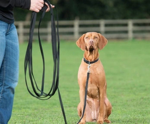 Company of Animals Recall Line 10m Long Dog Training Leash 2